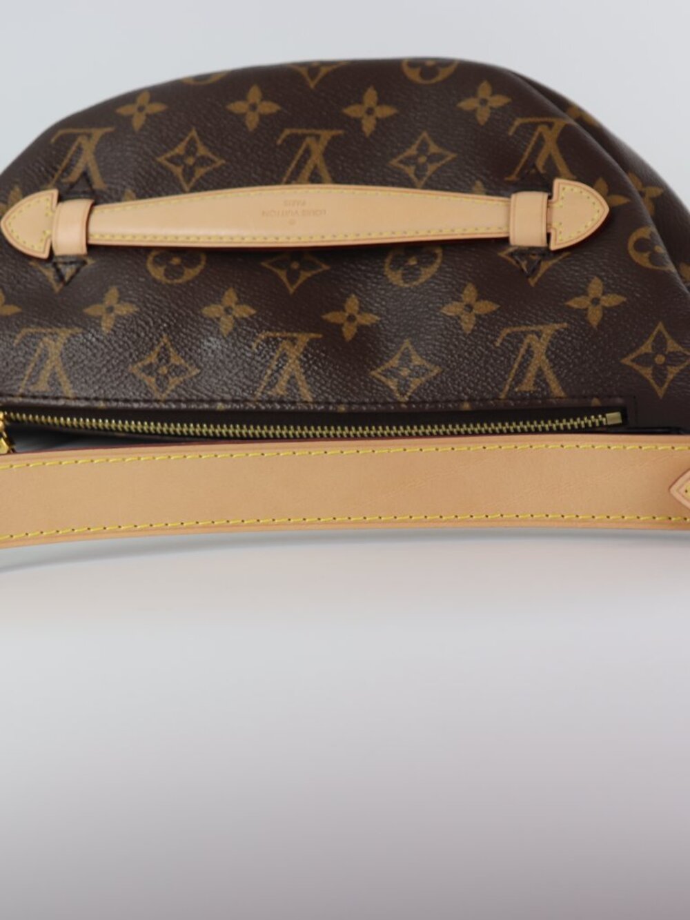 Louis Vuitton Monogram Bumbag - Picture 3 of 16
